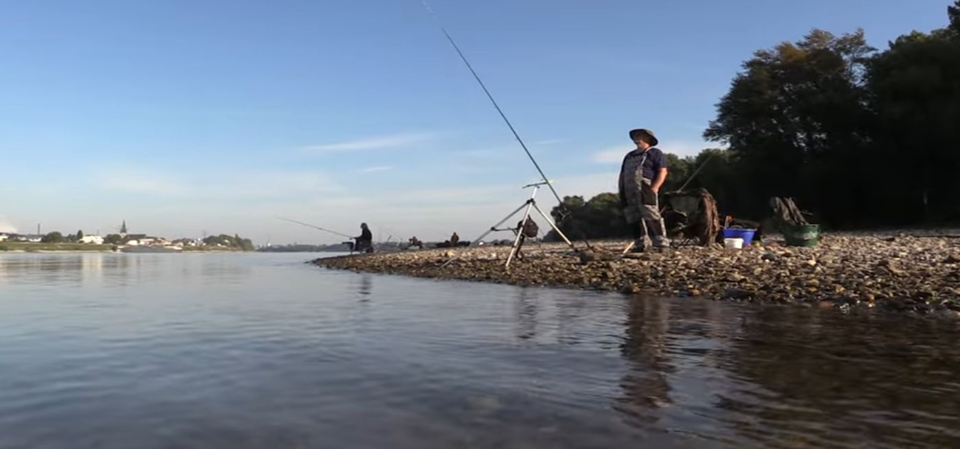 Gemeinschaftsfischen am Rhein 2024 1400x