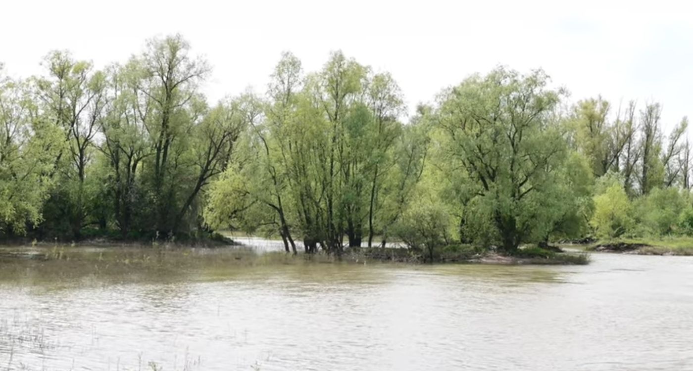 Naturschutz am Rhein Excursion nach Holland