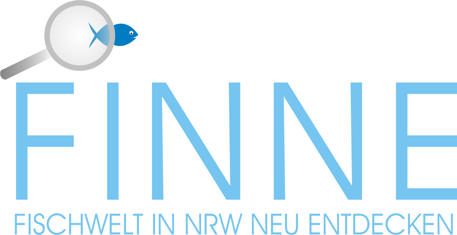 FINNE Logo PNG